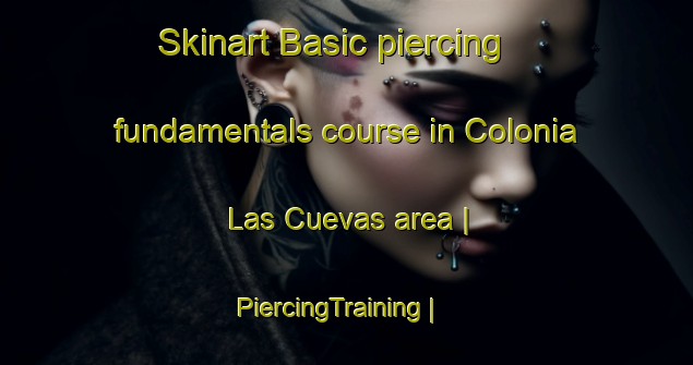 Skinart Basic piercing fundamentals course in Colonia Las Cuevas area | PiercingTraining | PiercingClasses | SkinartTraining-Mexico